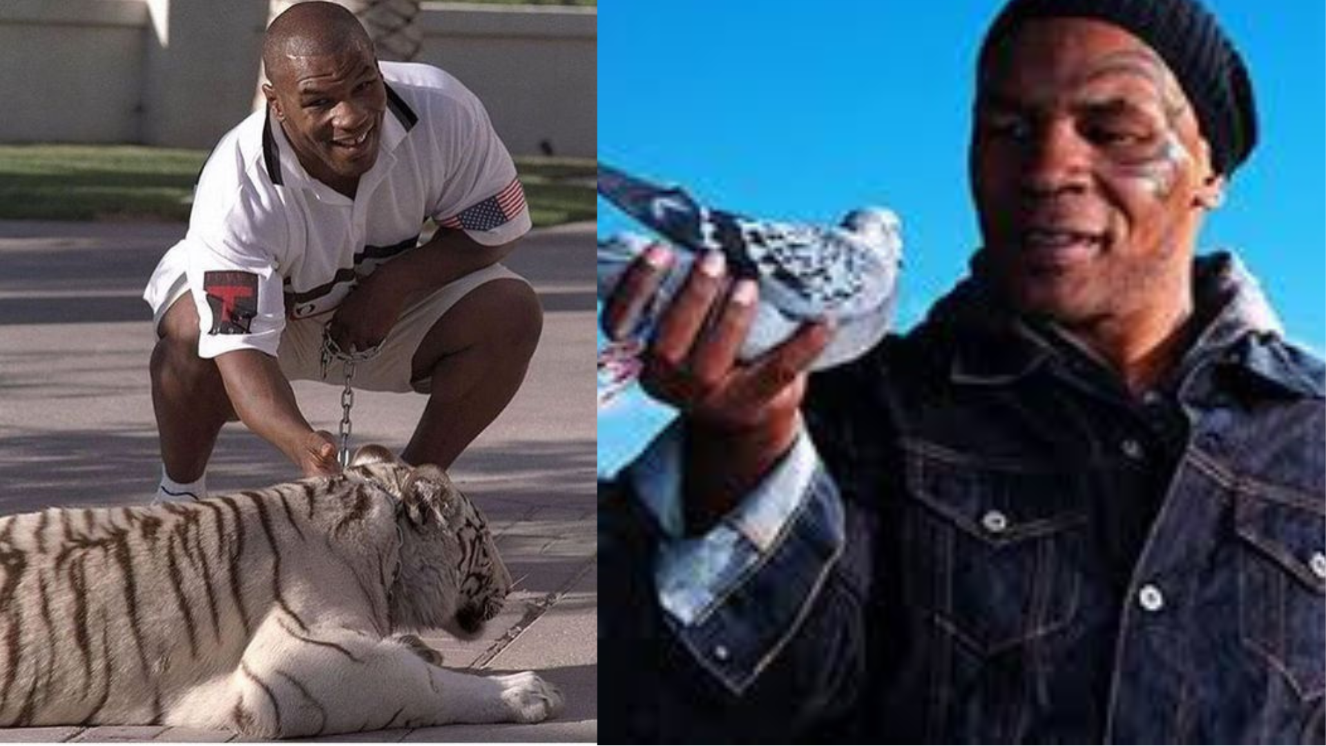 Animal Lover Mike Tyson